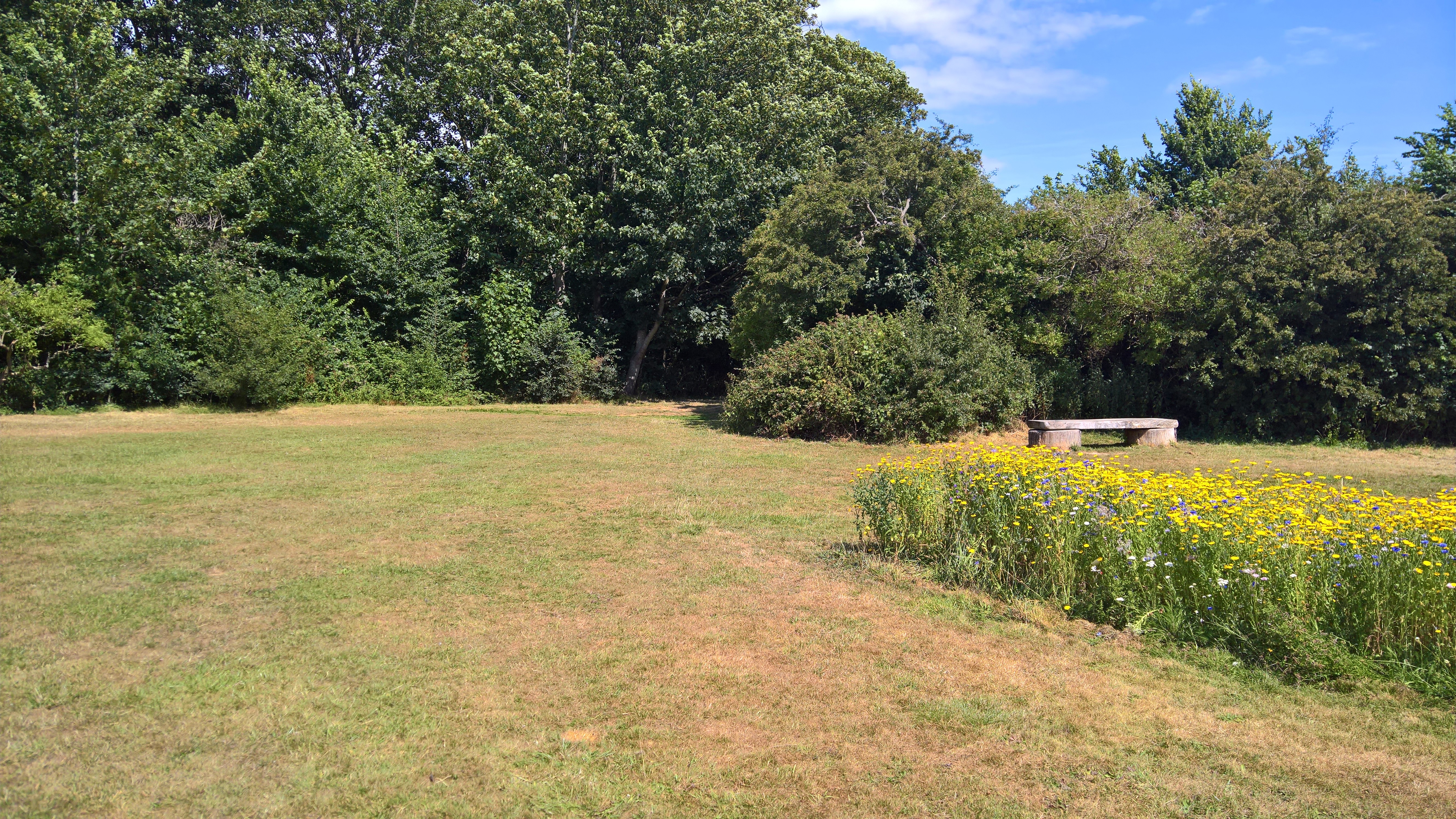 Patching Parish Council